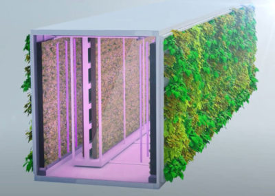 vertical-agriculture vertical-agriculture